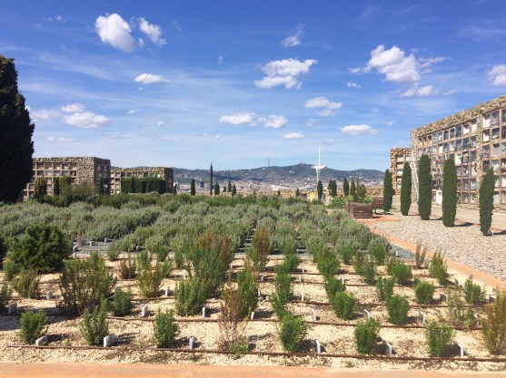 Cementerio de Montjuic